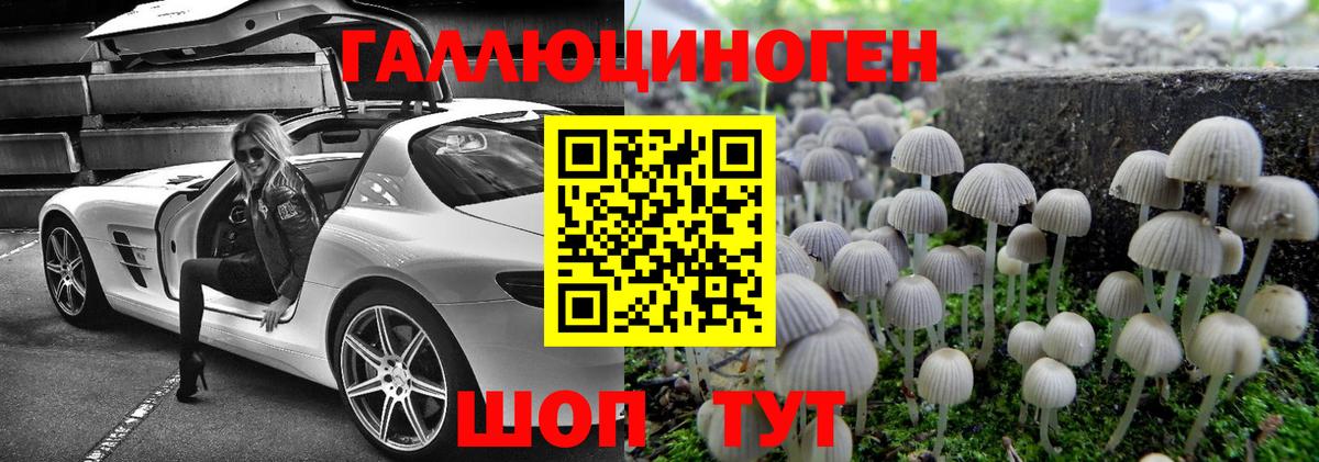 Луга  Галлюциногенные грибы MAGIC MUSHROOMS  где купить наркоту  Вход с VPN 